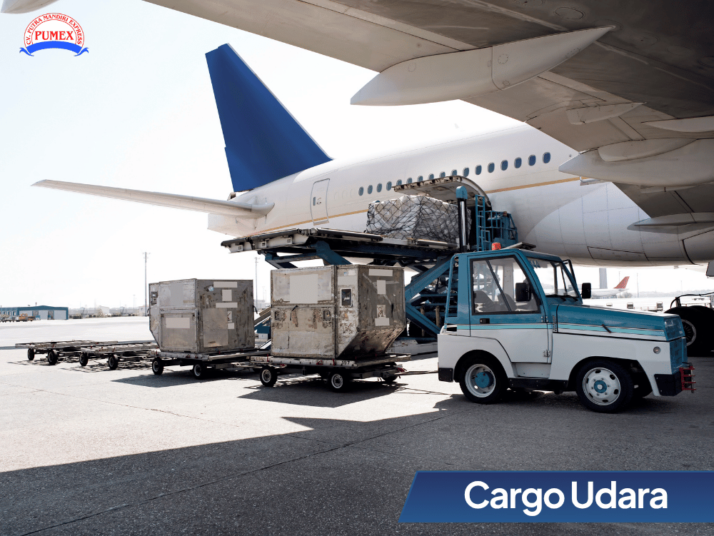 Cargo Udara